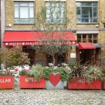 Bleedin Heart 1